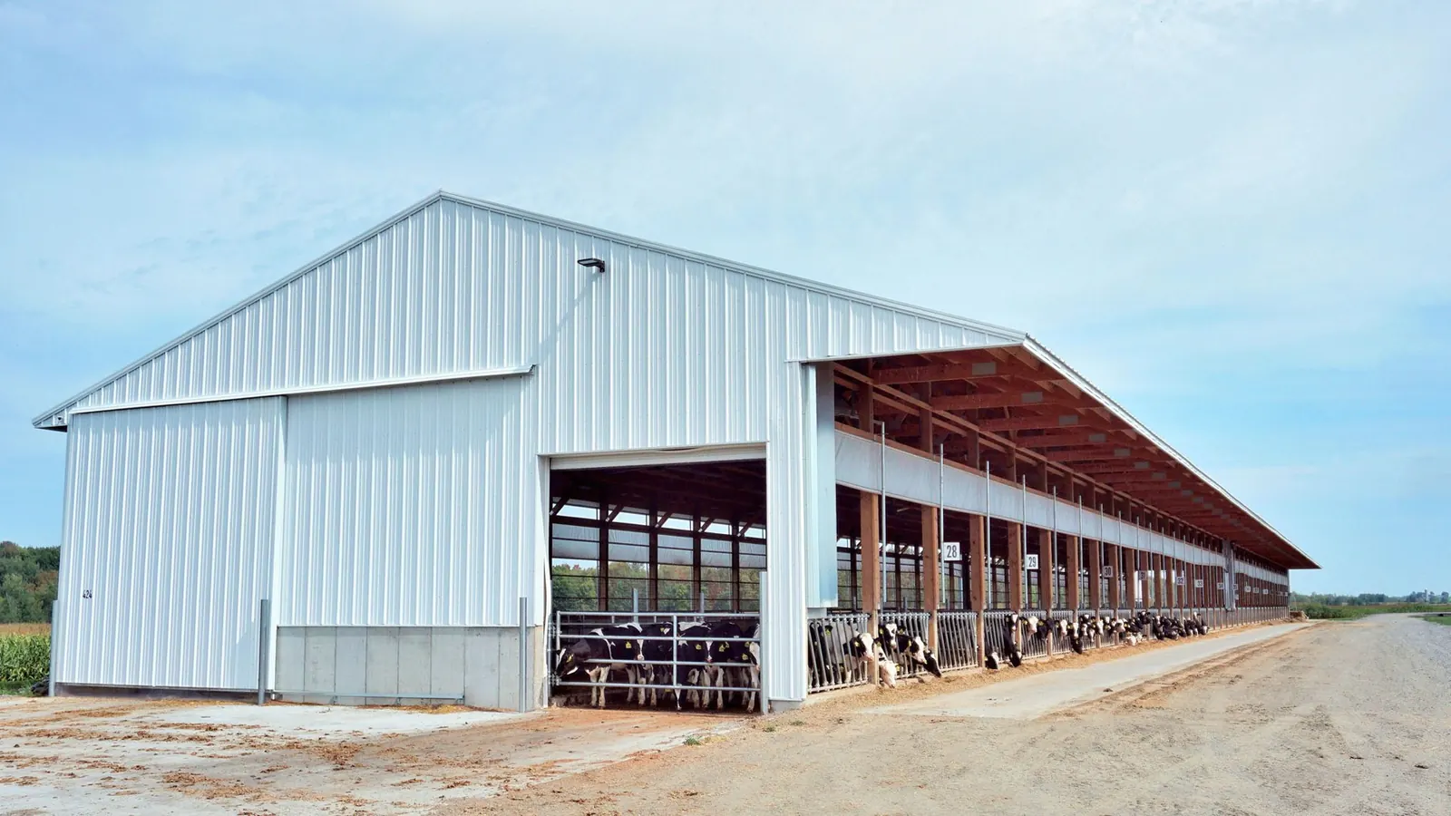 Open-sided livestock barn with ventilated stalls